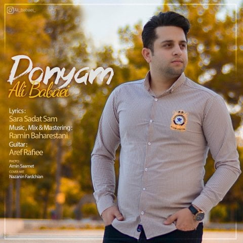 علی بابایی دنیام