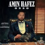 دانلود آهنگ امین حافظ اوسو