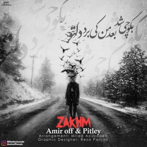امیر آف و پیتلی زخم