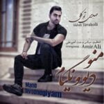 دانلود آهنگ مهدی توکلی منو دیوونگیام