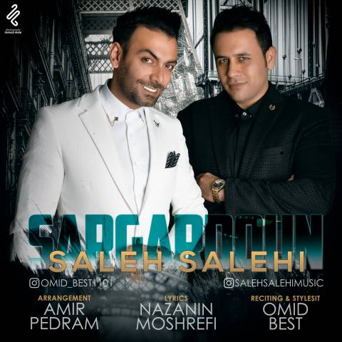 صالح صالحی سرگردون
