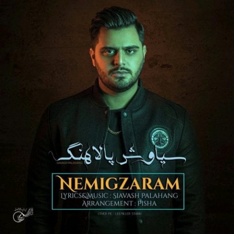 سیاوش پالاهنگ نمیگذرم