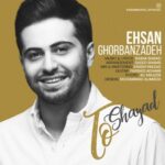 دانلود آهنگ احسان قربان زاده تو شاید