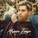 دانلود آهنگ شانیکو معجزه عشق