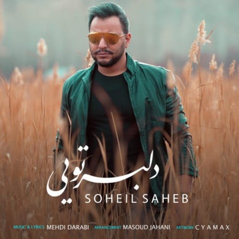 سهیل صاحب دلبر تویی