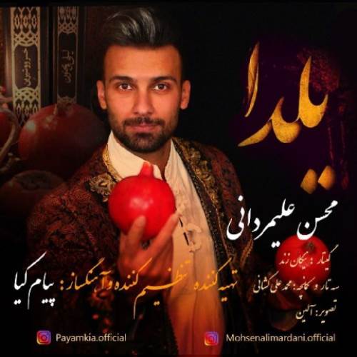 محسن علیمردانی یلدا