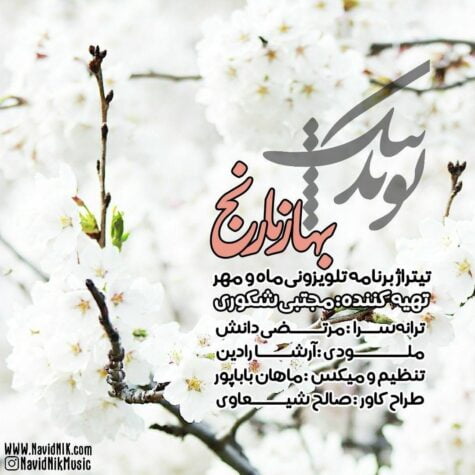 دانلود آهنگ نوید نیک بهار نارنج آهنگ نوید نیک به نام بهار نارنج