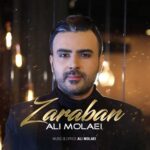 دانلود آهنگ علی مولایی ضربان