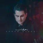 دانلود آهنگ احمد سعیدی به حرف که نیست