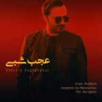 دانلود آهنگ عجب شبی شروین