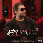دانلود آهنگ دخترو 1صادق زین
