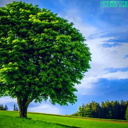 دانلود اهنگ یچی بده دود کنم بره یادمو تصویر مطلب