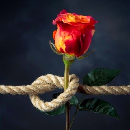 آهنگ دلم از همه ی این حرفا پره از حرارتی که نی تصویر مطلب