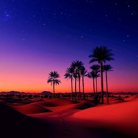 تصویر مطلب