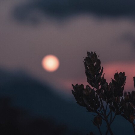 تصویر مطلب