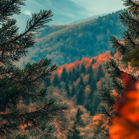 دانلود ریمیکس کاش نرسیدن ته همه مسیرا نبود دانلود ریمیکس کاش نرسیدن ته همه مسیرا نبود