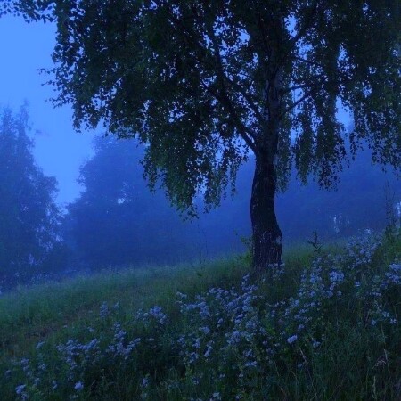 دانلود ریمیکس پله لردن اننده گوزوم قالدی ممنده - ترند ترکی اینستایی