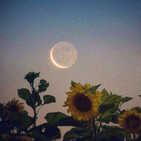 دانلود اهنگ یه دوزاری با صدتا هزاری ام دوزاریه
