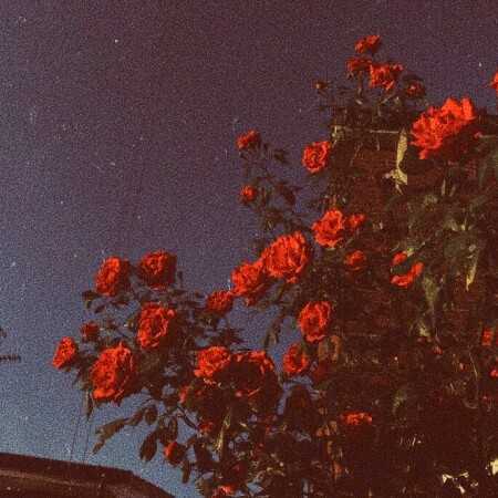 آره که موهات بلنده زیباست کلی شیک و دریم