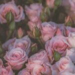 اهنگ همه هستن اونی که باید نیست