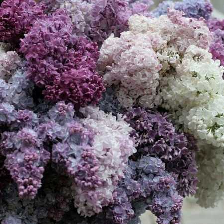 بهتره جدا باشیم واسه همیشه سراغتو نمیگیرم