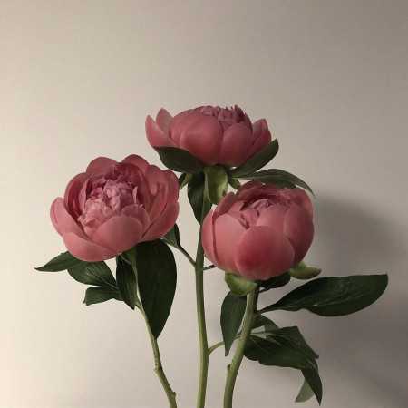 صد دفعه گفتم باباجون بگیر منو