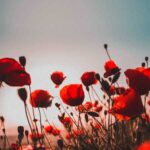 اهنگ سلام برسون اگه دیدی مث من جیمی نوترونم