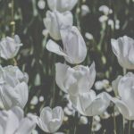 آهنگ تو دلم خیلی حرفه غرورم میگه نزن دروغن