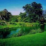 آهنگ حتی شده چهل سال دیگ دوباره پیدات میشه