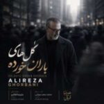 اهنگ علیرضا قربانی گل های باران خورده