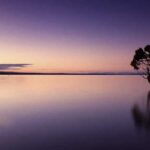 آهنگ تیمت نیستش مافیا بیگه