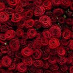 آهنگ شنیدم میگن مث من برات نیستش