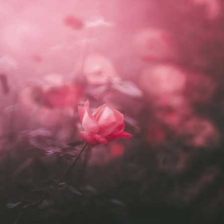 ای به داد من رسیده - با صدای هوش مصنوعی زن