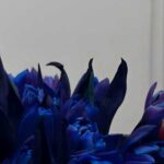 آهنگ دانیال ان بی – کلافه