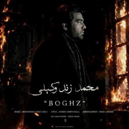 محمد زندوکیلی بغض