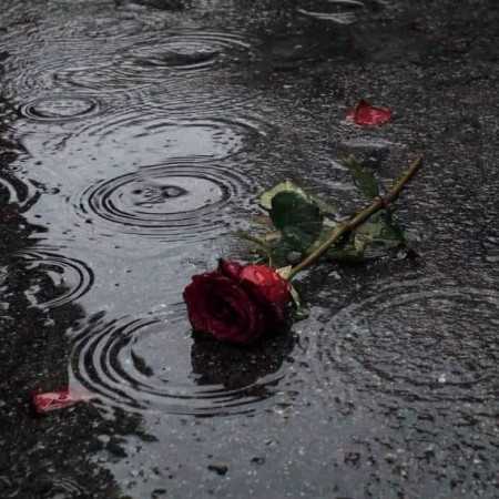 دانلود اهنگ اﮔﻪ روز ﺷﻢ ﺗﻮ ﺷﺒﺎ ﺑیداریا اﮔﻪ روز ﺷﻢ ﺗﻮ ﺷﺒﺎ ﺑیداریا