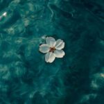 اهنگ بشه شب بشه صبح بشه فردا