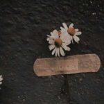 اهنگ میدونستم برمیگردی