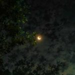 آهنگ صنما چگونه گویم که تو نور جان مایی