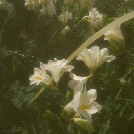 طلا که رنگش عوض نمیشه