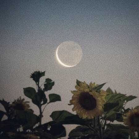 یکم جدا باشیم خوبه براهم تو پیشت یکی دیگس ولی زوده برا من