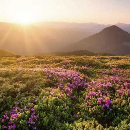 ای ﺳﺎﻗﻰ آراﻣﻢ ﻛﻦ دﻳﻮاﻧﻪ ام راﻣﻢ ﻛﻦ