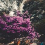 آهنگ از چشم من کی میبینه تورو