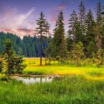 اهنگ بی رنگ رخت زمانه زندان من است