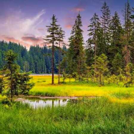 دانلود اهنگ بی رنگ رخت زمانه زندان من است بی رنگ رخت زمانه زندان من است
