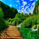 آهنگ قلبم داره دق میکنه با صدای زن هوش