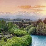 اهنگ میبینی دارم درد میکشم حالیت نی