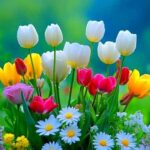 آهنگ همه دردا برا من من زیر فشار تو