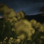آهنگ بابا بنازم از جوپیتو