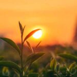 آهنگ تو چشمات غم داشت لاکات شیطون